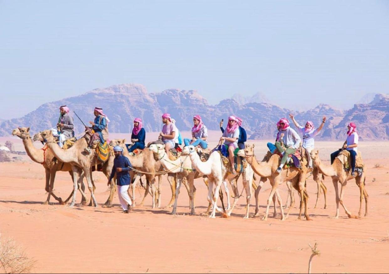 Bedouin Culture Camp Wadi Rum Eksteriør billede