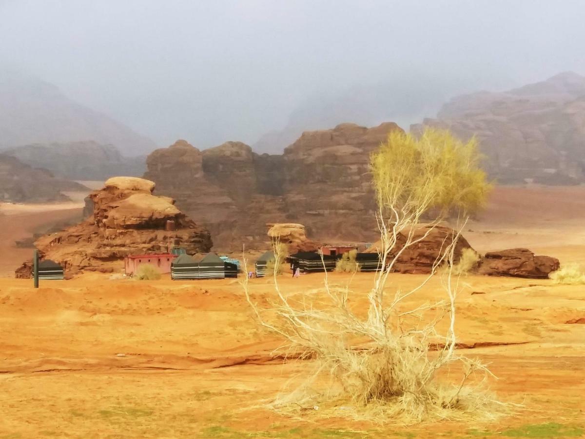 Bedouin Culture Camp Wadi Rum Eksteriør billede